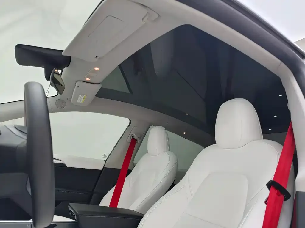 Tesla Model Y 2023 из CN, фото 2