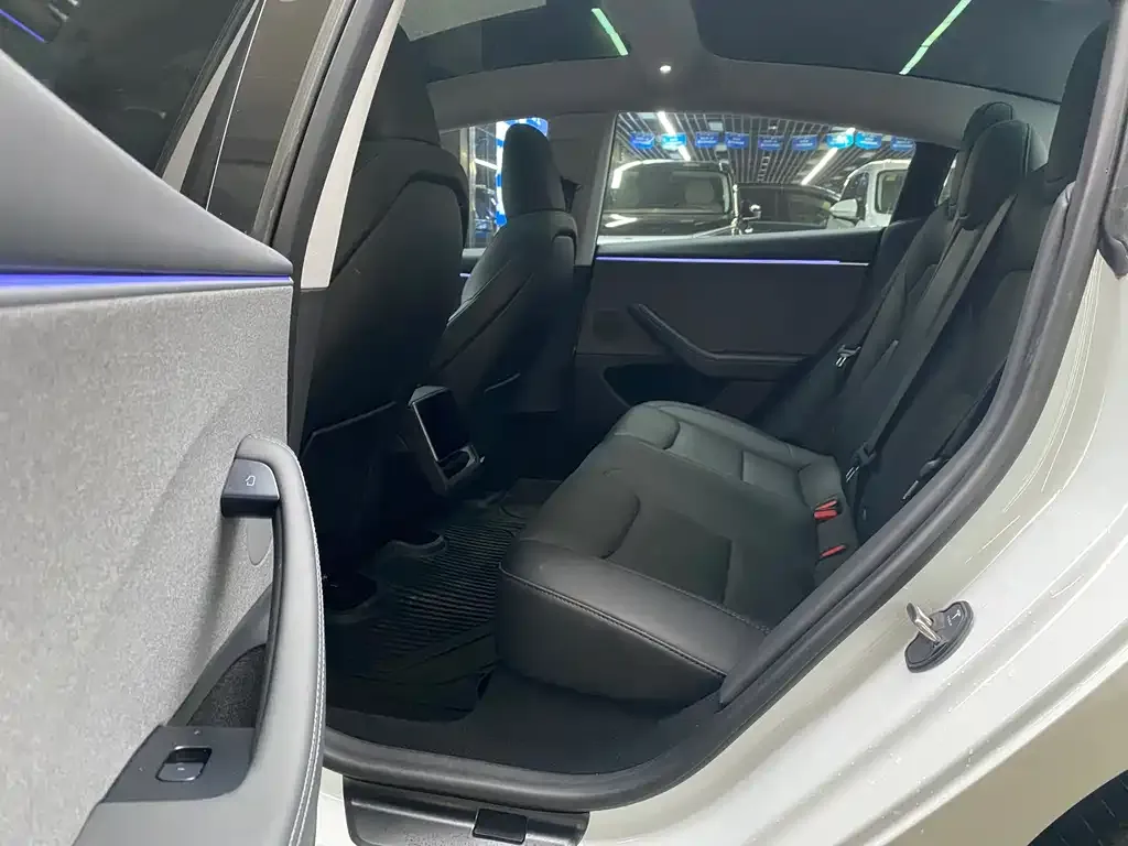 Tesla Model 3 2023 из CN, фото 4