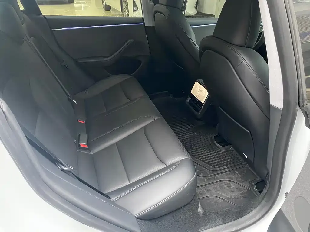 Tesla Model 3 2023 из CN, фото 9