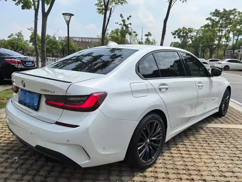 BMW 3 Series 2022 из CN, фото 6
