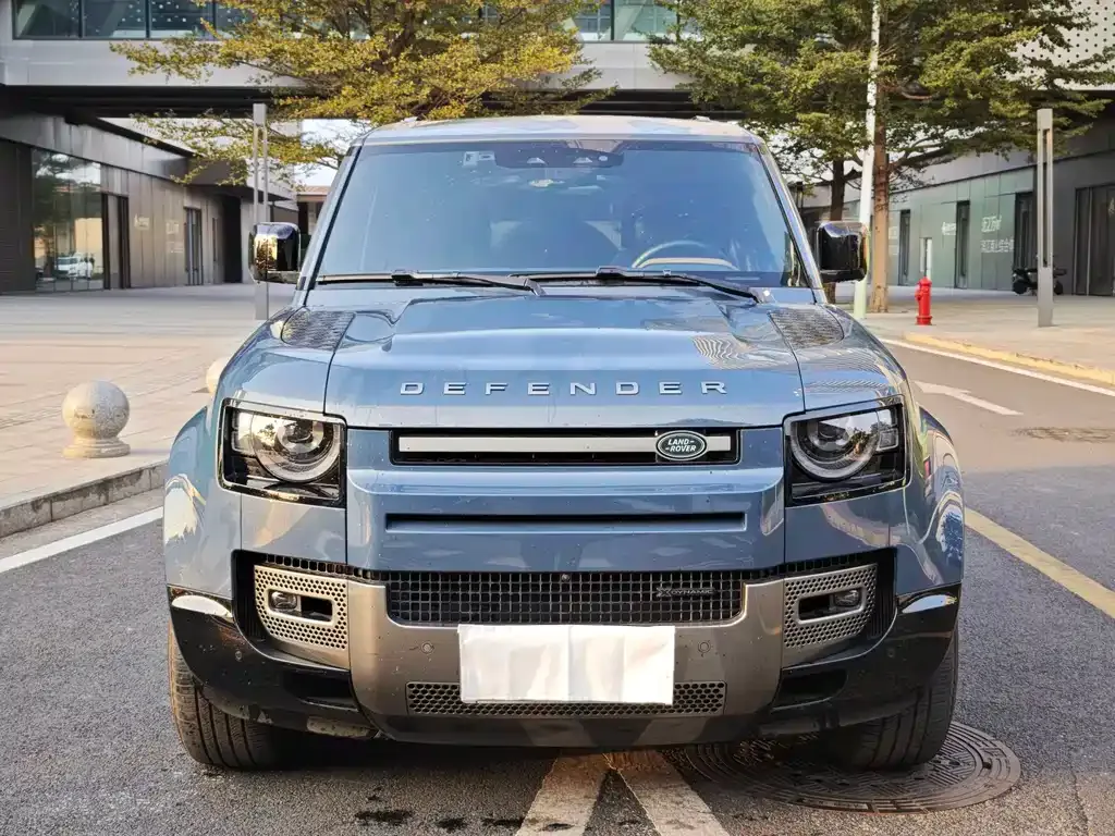 Land Rover Defender 2022 из CN, фото 2
