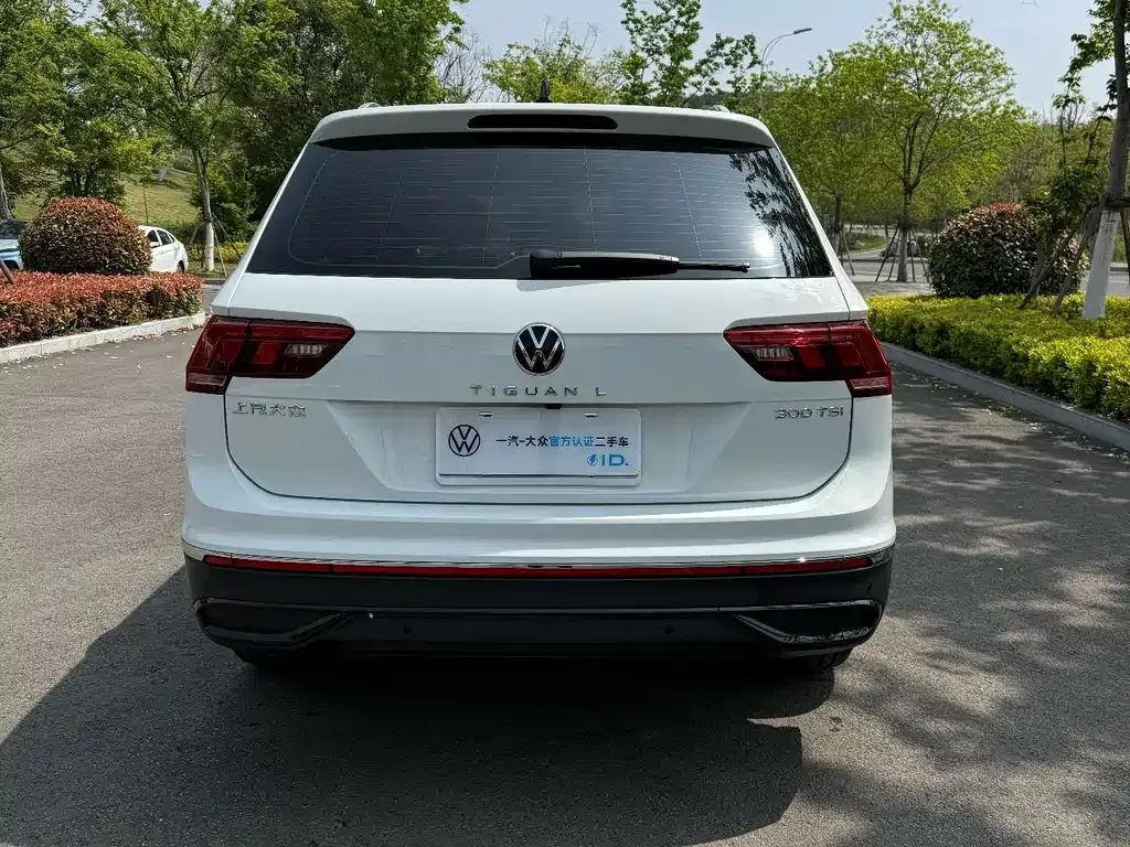 Volkswagen Tiguan L 2024 из CN, фото 9