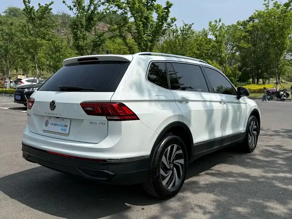 Volkswagen Tiguan L 2024 из CN, фото 4