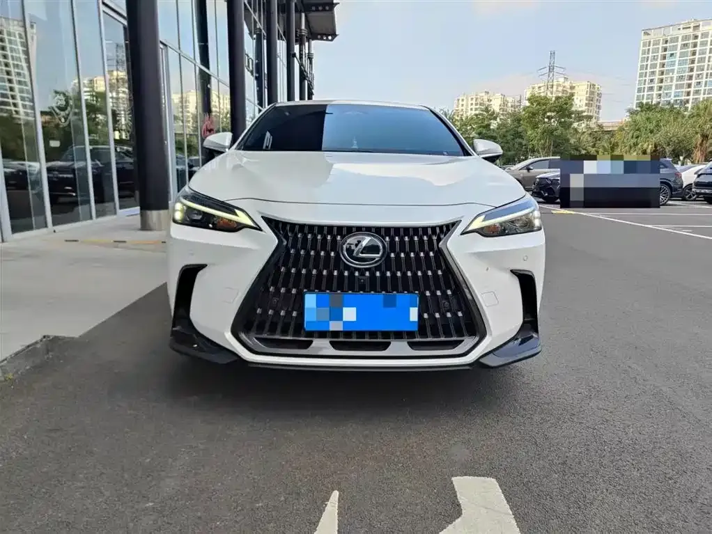 Lexus NX 2024 из CN, фото 8