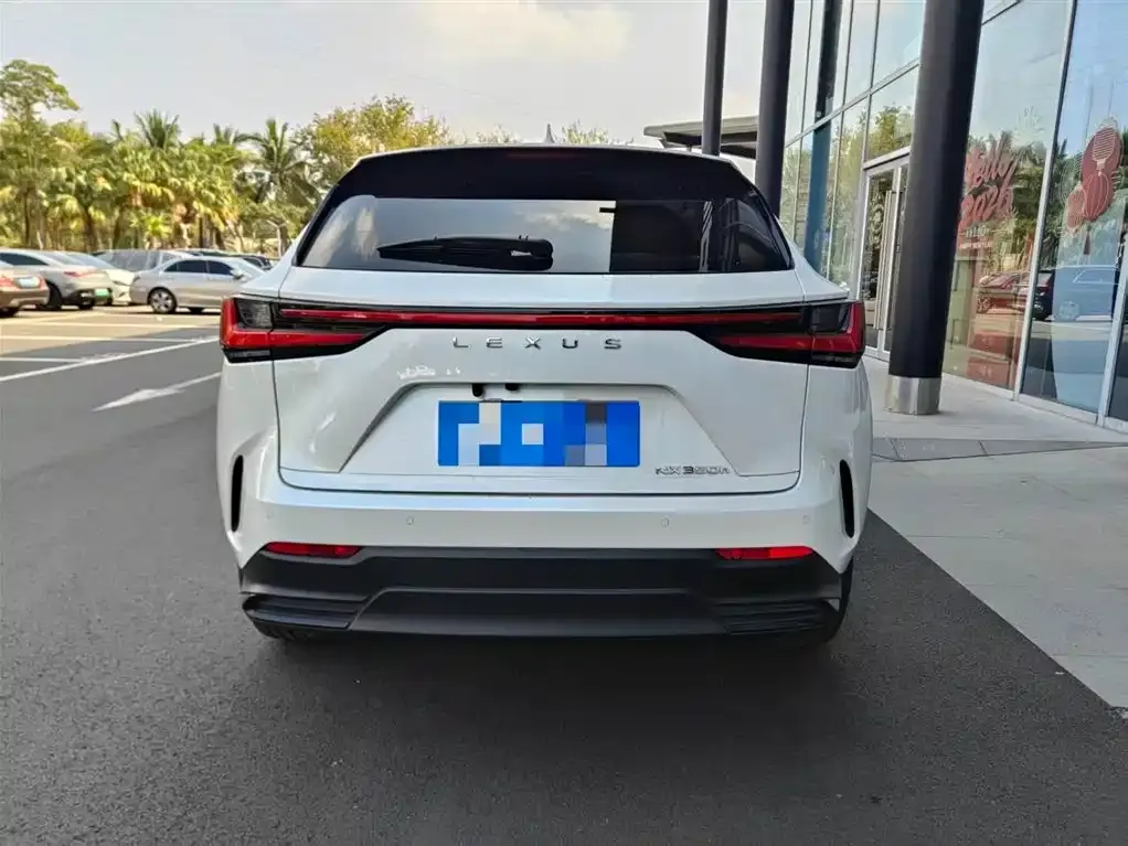 Lexus NX 2024 из CN, фото 5