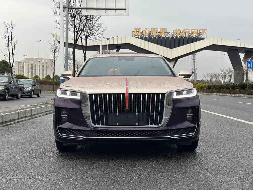 Hongqi H9 2022 из CN, фото 5