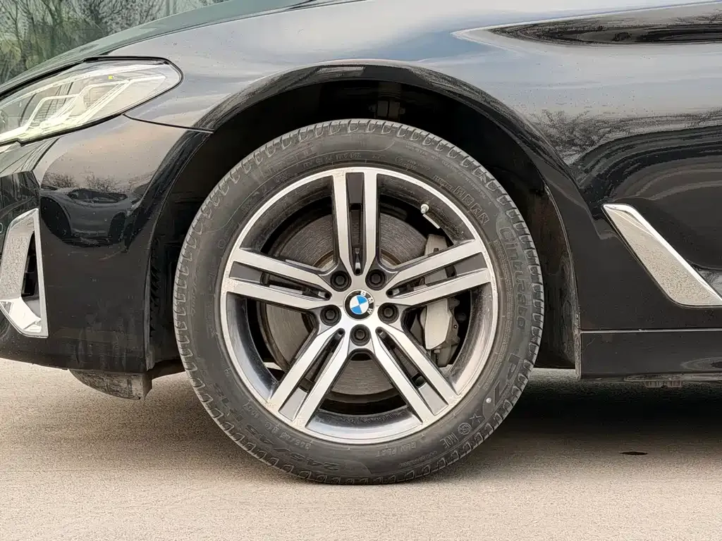 BMW 5 Series 2022 из CN, фото 10