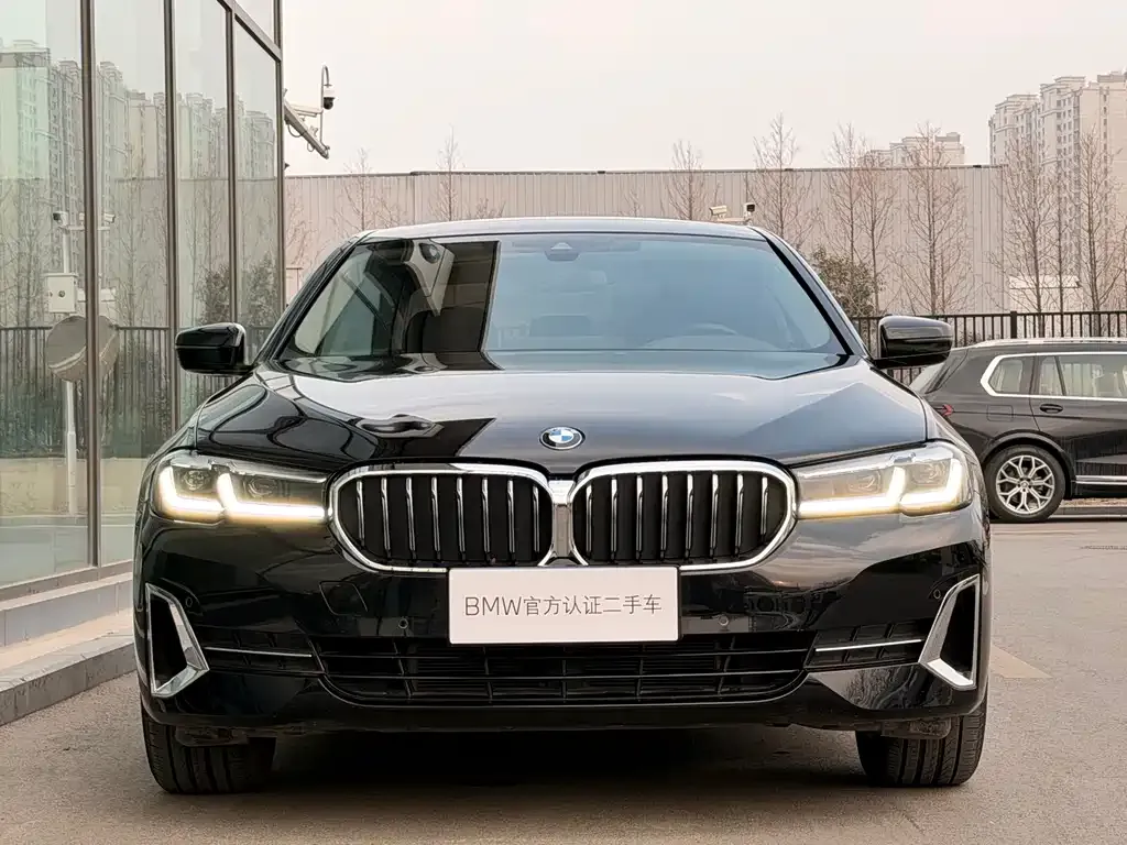 BMW 5 Series 2022 из CN, фото 6