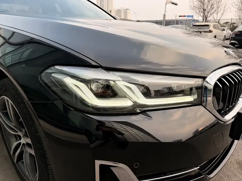 BMW 5 Series 2022 из CN, фото 4