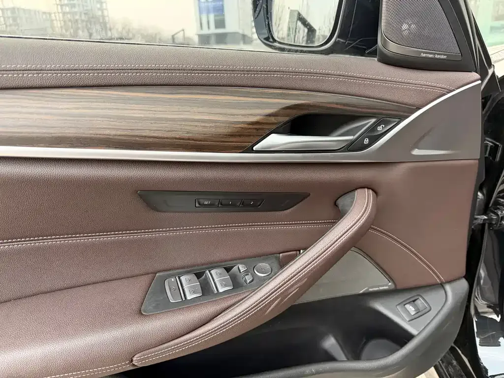BMW 5 Series 2022 из CN, фото 8