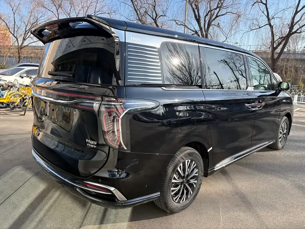 Hongqi HQ9 PHEV 2024 из CN, фото 10