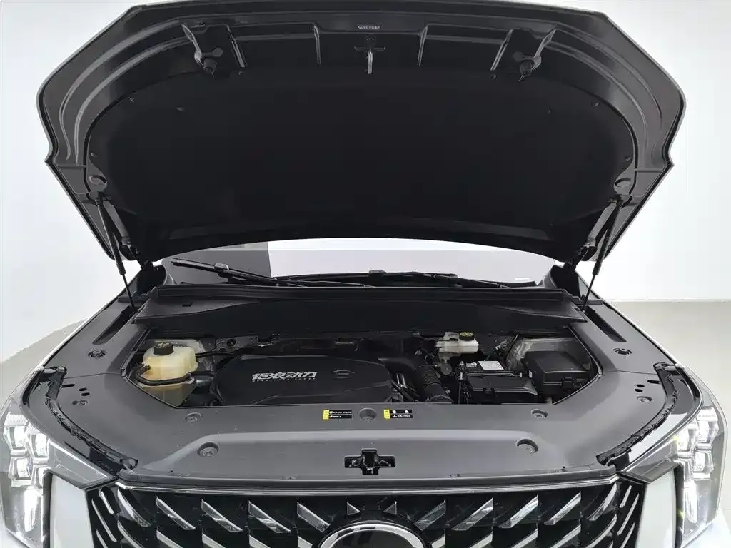 GAC Motor Trumpchi GS8 — фото 7