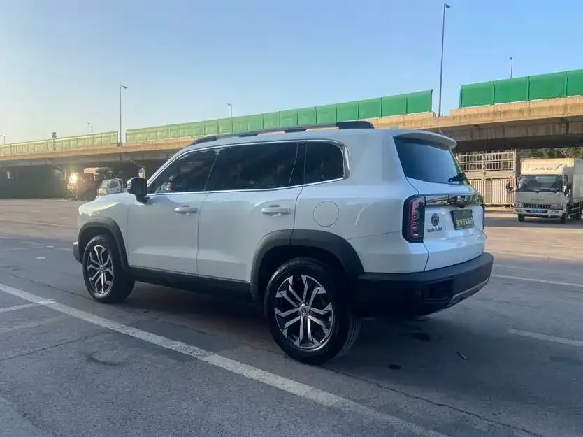 Haval Big Dog 2021 из CN, фото 9