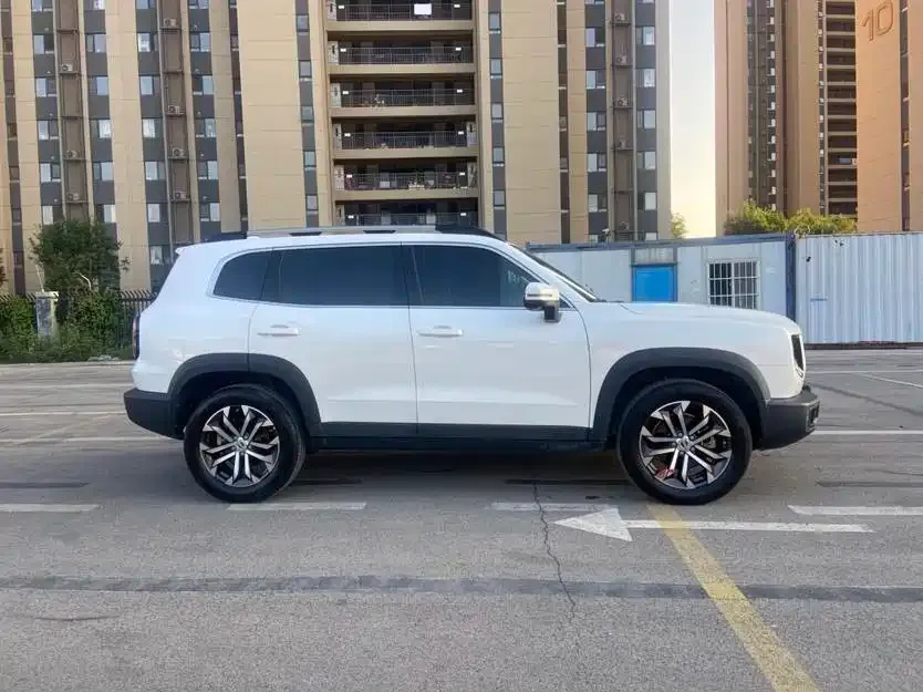 Haval Big Dog 2021 из CN, фото 4