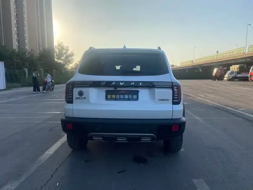 Haval Big Dog 2021 из CN, фото 5