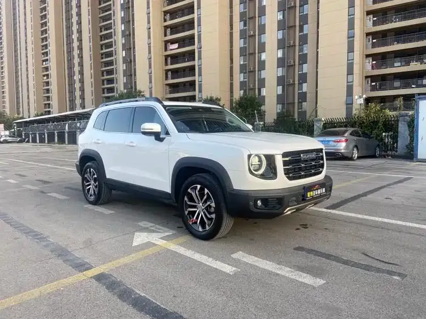 Haval Big Dog 2021 из CN, фото 10