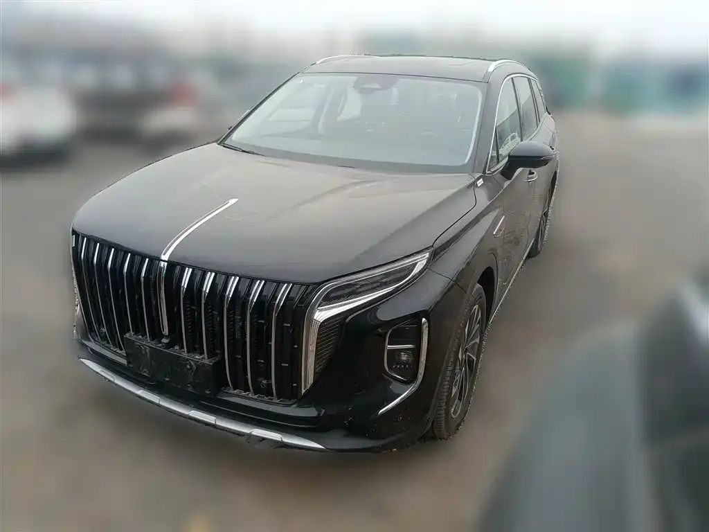 Hongqi HS7 PHEV 2024 из CN, фото 4
