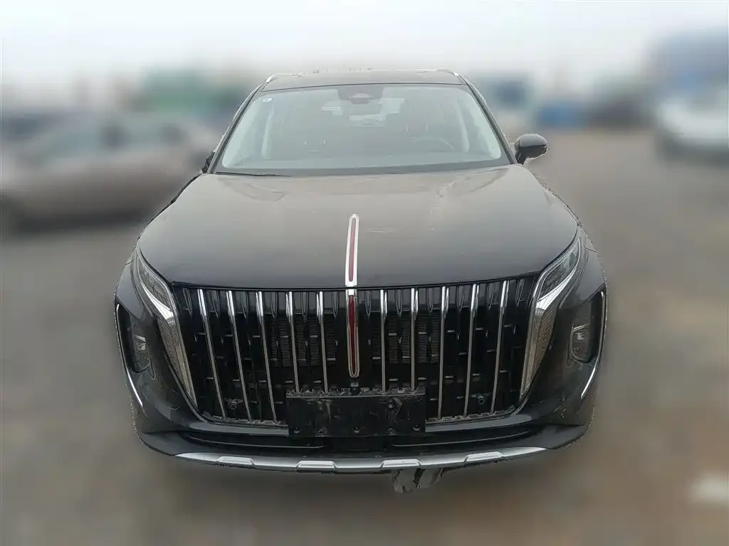 Hongqi HS7 PHEV 2024 из CN, фото 2