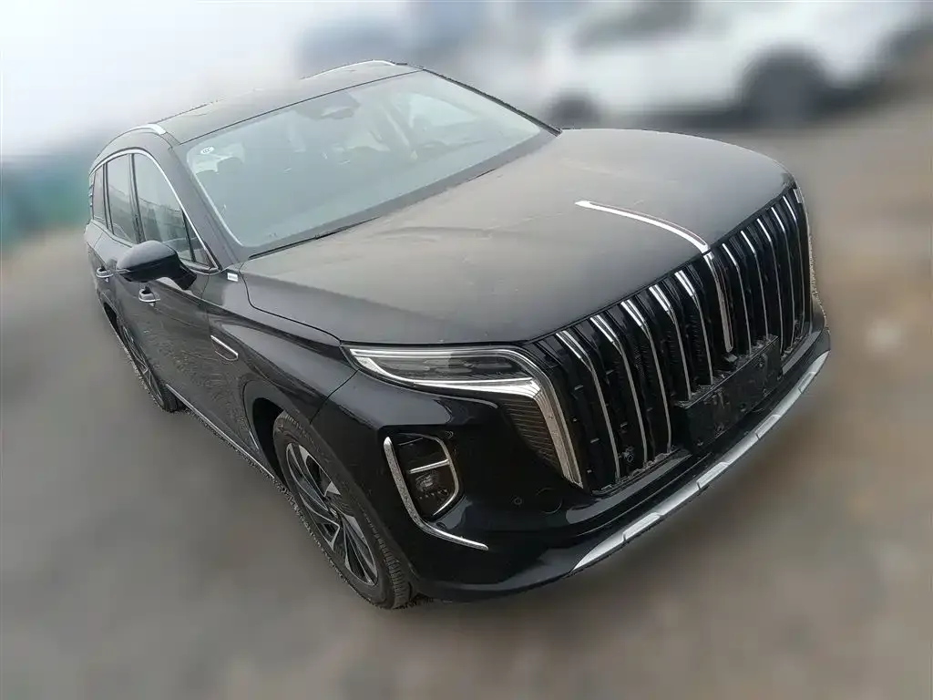 Hongqi HS7 PHEV 2024 из CN, фото 6