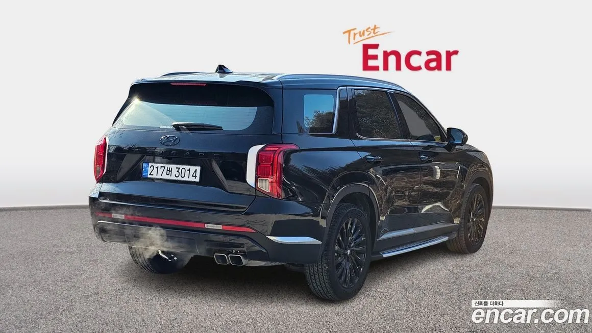 Hyundai Palisade 2024 из KR, фото 6