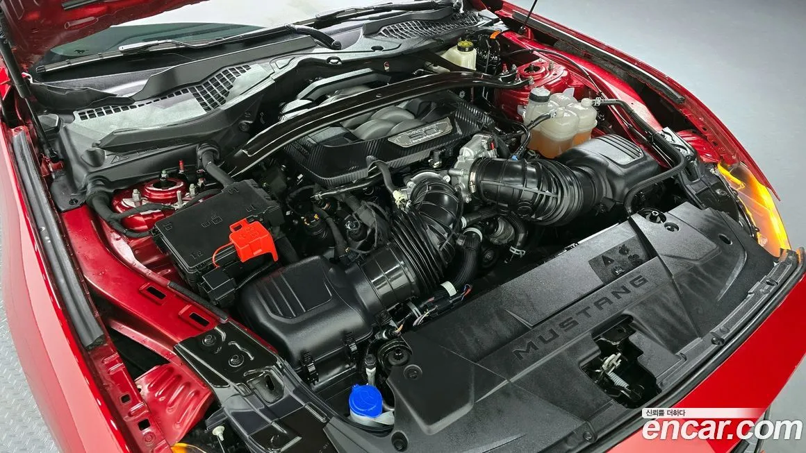 Ford Mustang 2024 из KR, фото 8