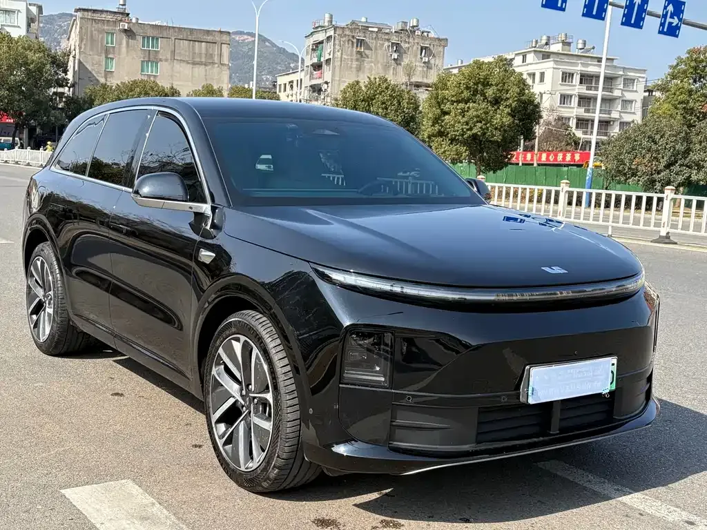 Li Auto Li L6 2024 из CN, фото 9