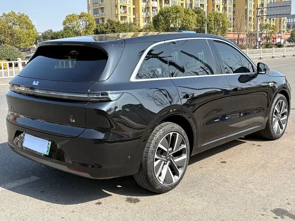 Li Auto Li L6 2024 из CN, фото 4