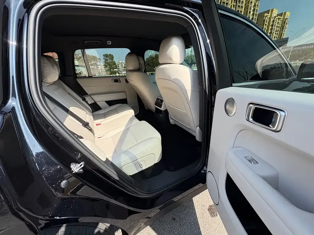Li Auto Li L6 2024 из CN, фото 2