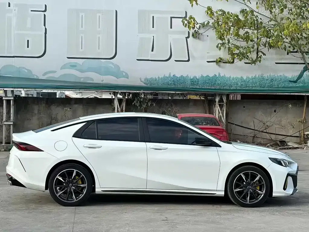 GAC Motor Shadow Leopard — фото 9