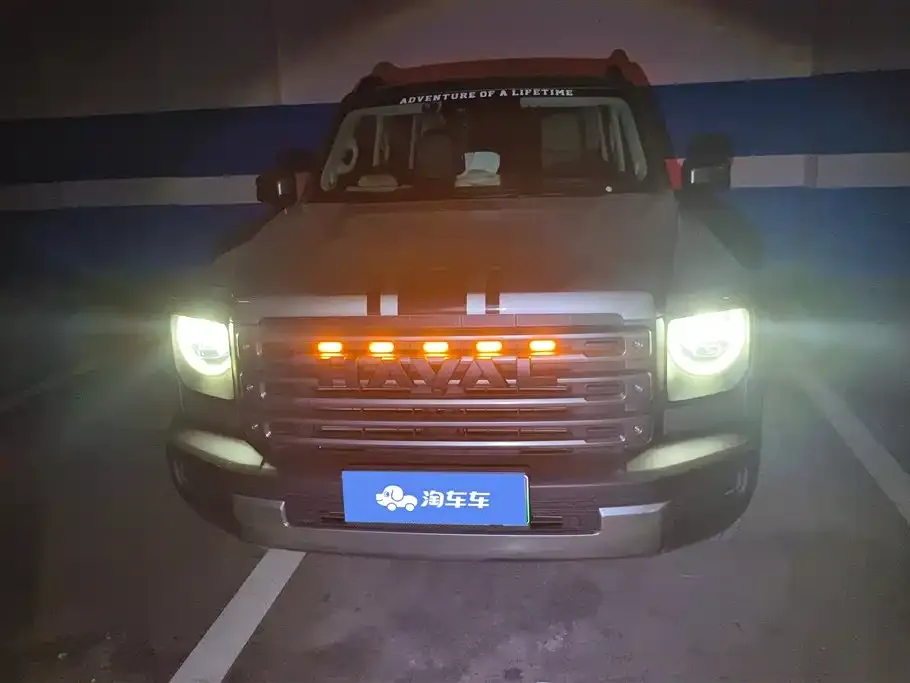 Haval Menglong New Energy 2024 из CN, фото 2