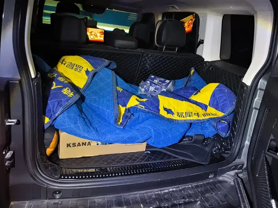 Haval Menglong New Energy 2024 из CN, фото 8