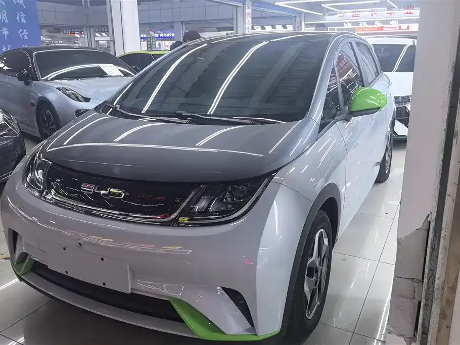 BYD Dolphin 2023 из CN, фото 1