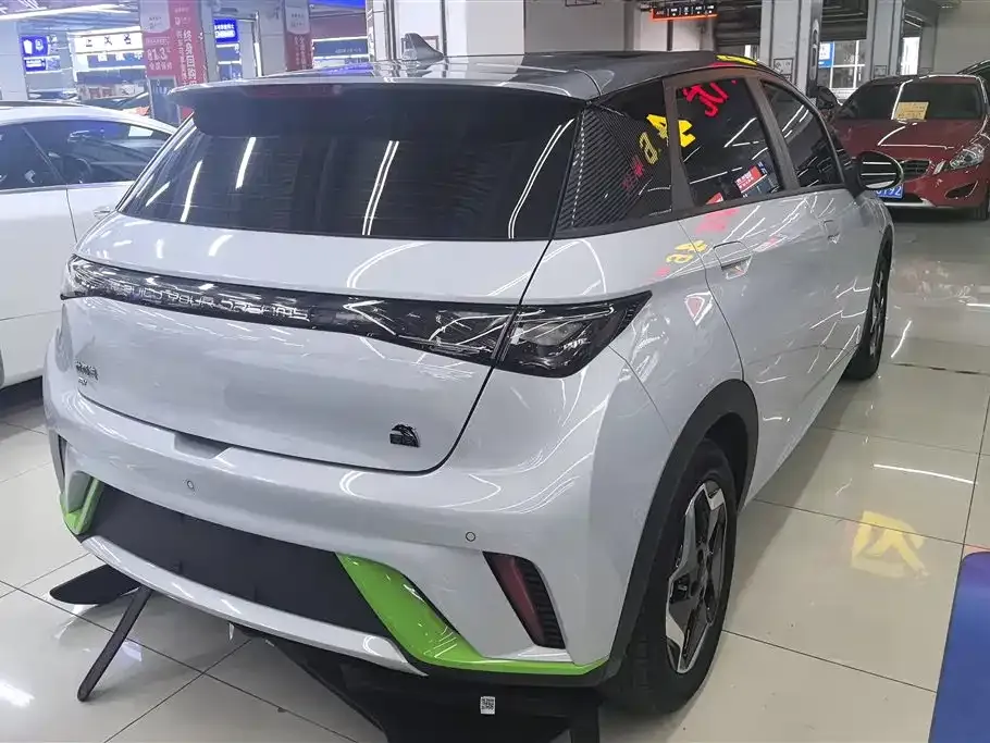BYD Dolphin 2023 из CN, фото 8