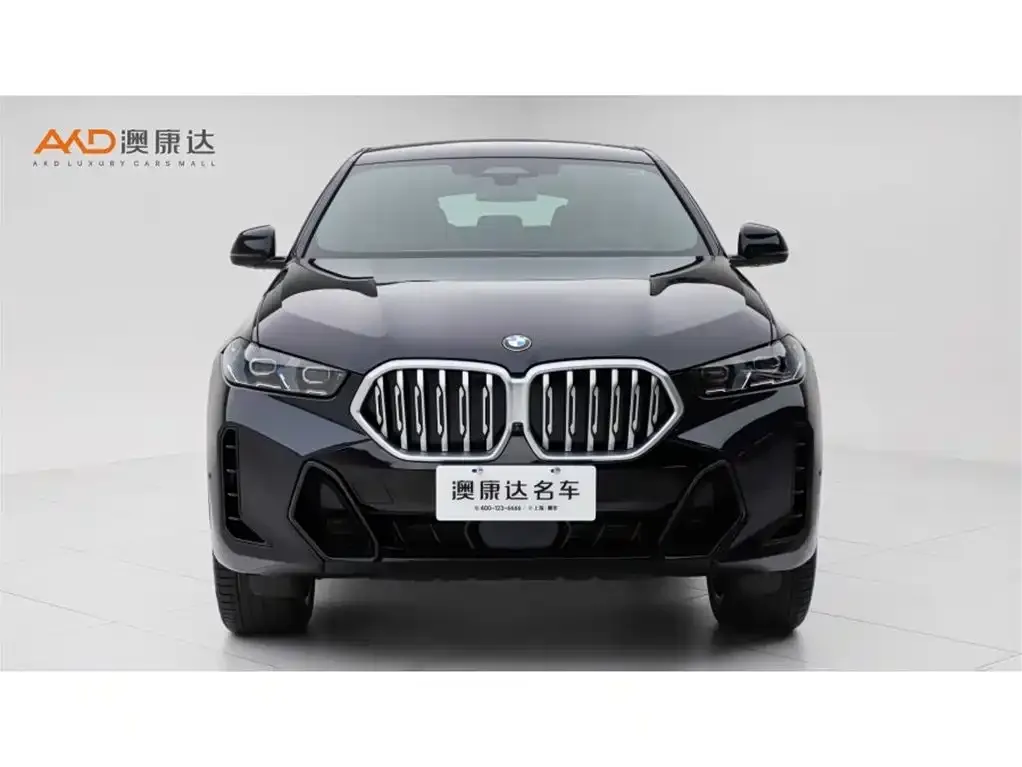 BMW X6 2025 из CN, фото 4