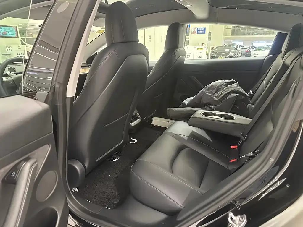 Tesla Model 3 2021 из CN, фото 3