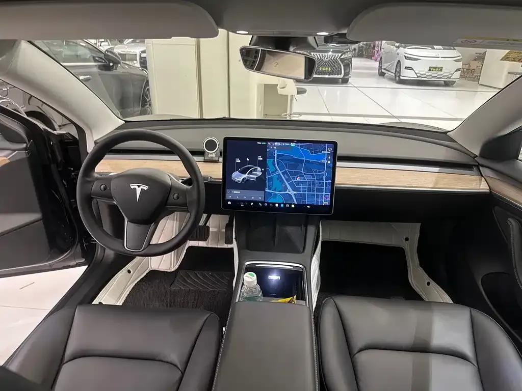 Tesla Model 3 2021 из CN, фото 7