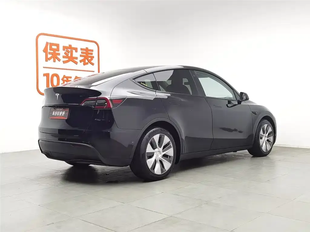 Tesla Model Y 2021 из CN, фото 4