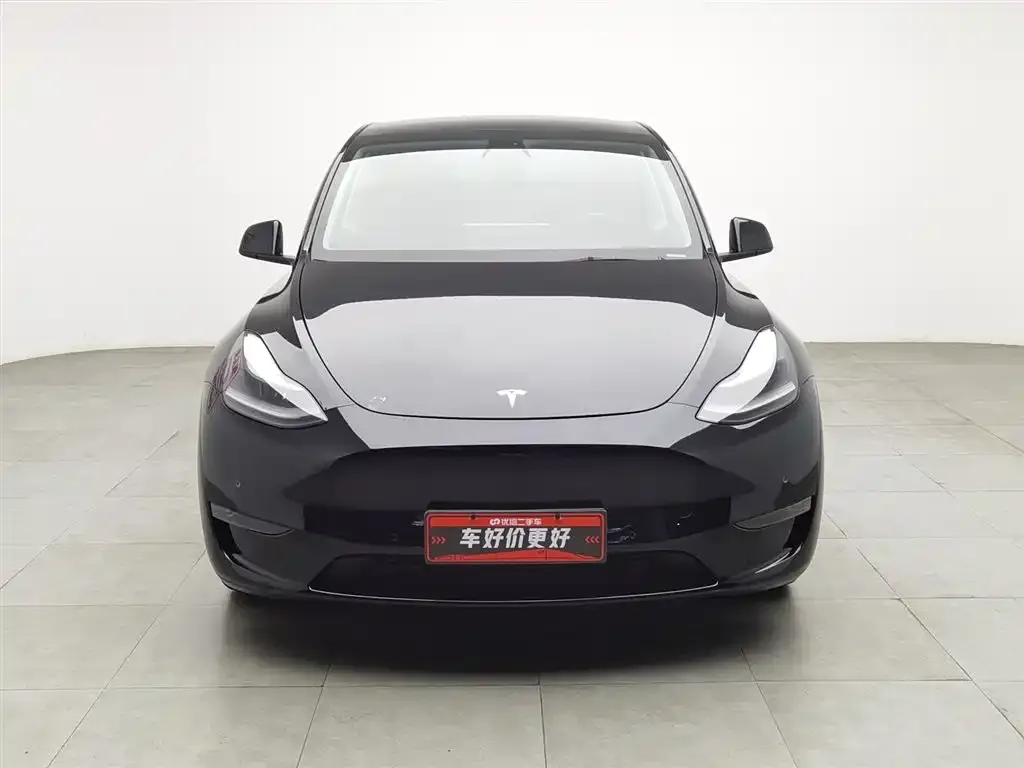 Tesla Model Y 2021 из CN, фото 7