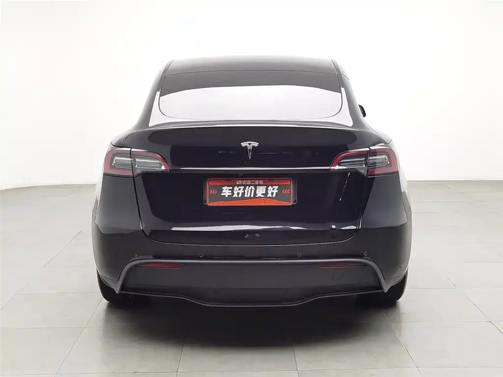 Tesla Model Y 2021 из CN, фото 3
