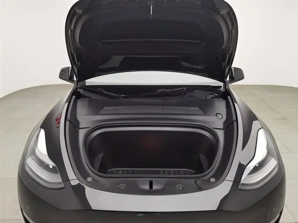 Tesla Model Y 2021 из CN, фото 6