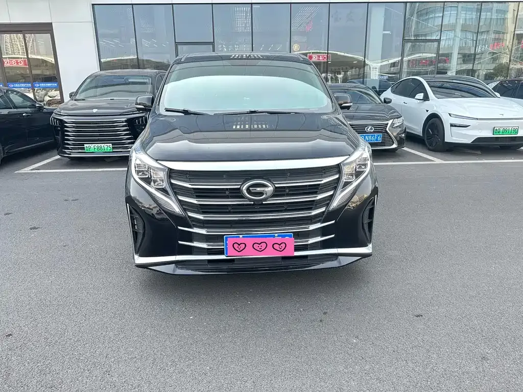 GAC Motor Trumpchi M8 2024 из CN, фото 8