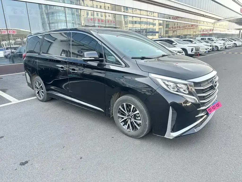 GAC Motor Trumpchi M8 2024 из CN, фото 7