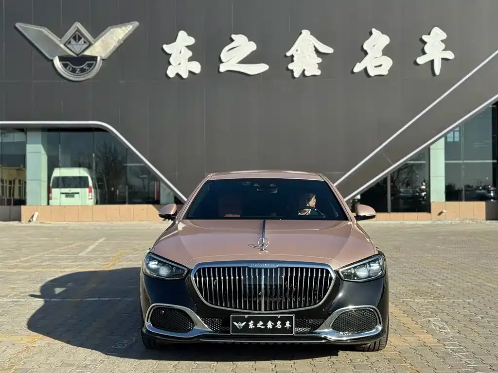 Mercedes-Benz S-Class 2021 из CN, фото 8