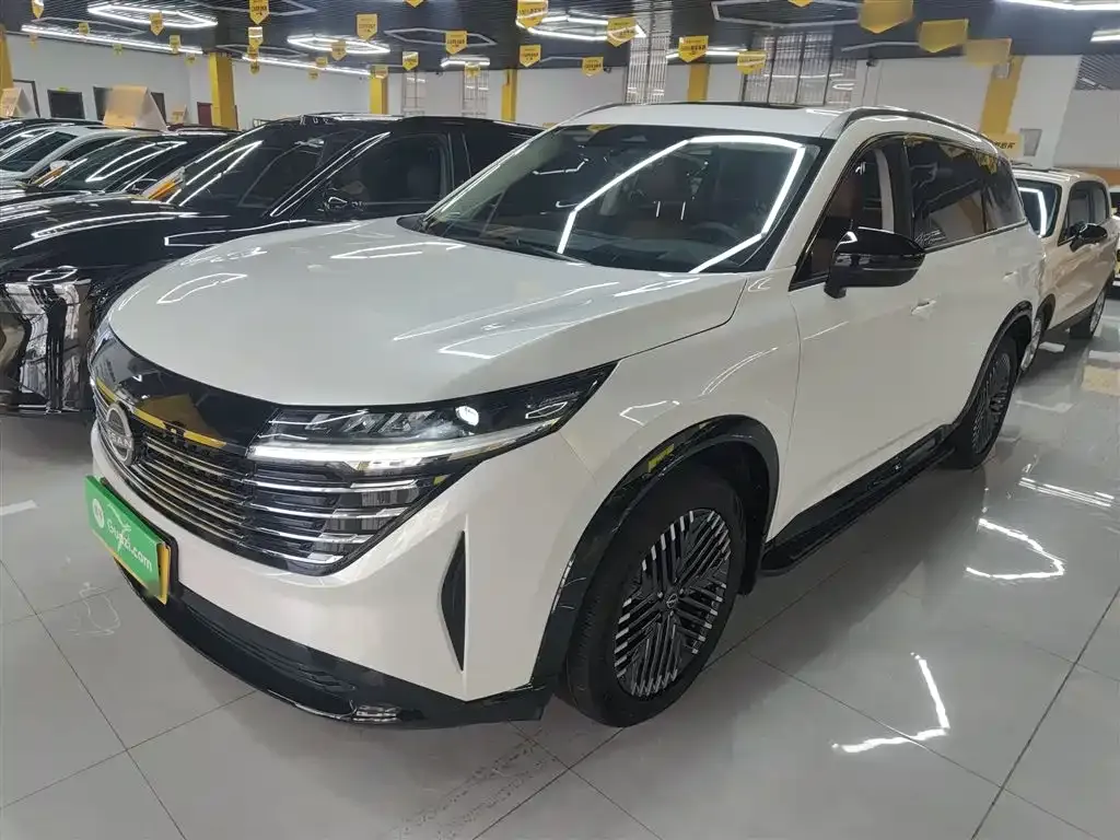 Nissan Teramont 2024 из CN, фото 4