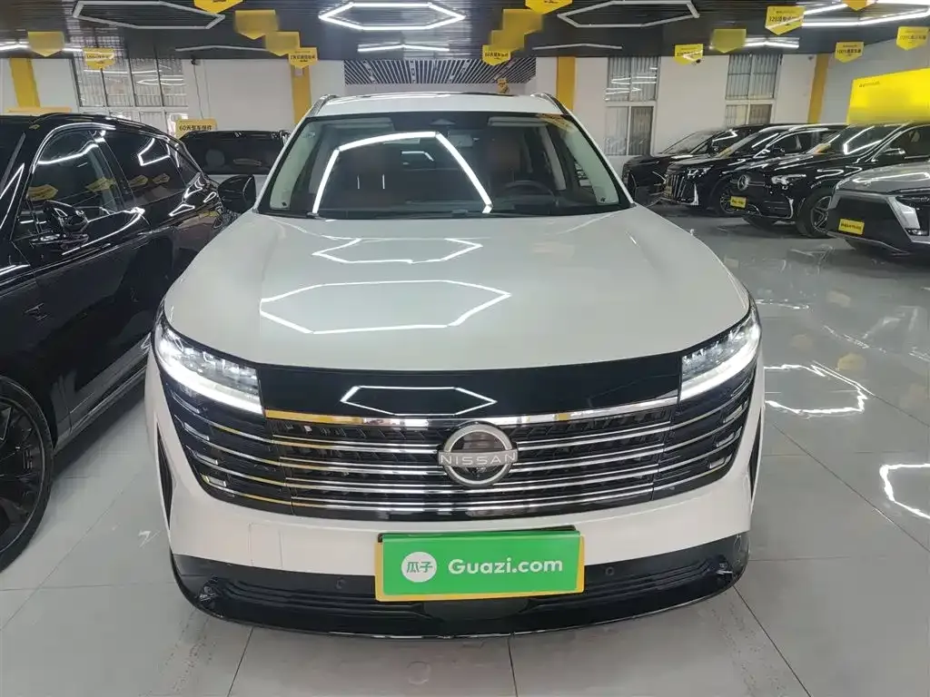 Nissan Teramont 2024 из CN, фото 7