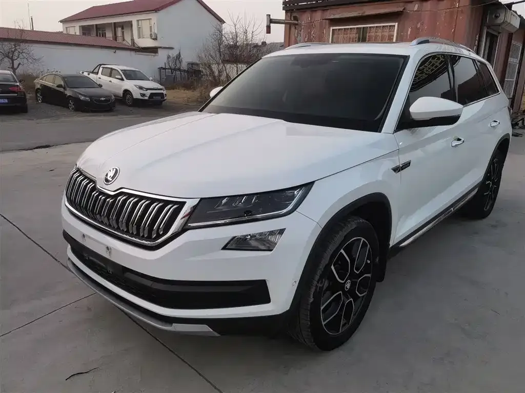 Skoda Kodiaq 2021 из CN, фото 8
