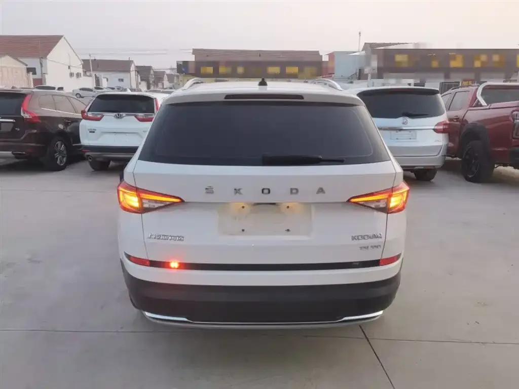 Skoda Kodiaq 2021 из CN, фото 6