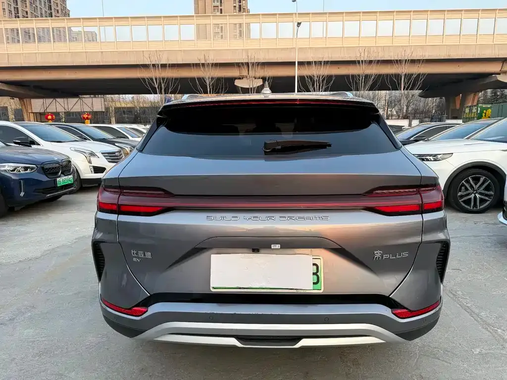 BYD PLUS New Energy 2024 из CN, фото 4
