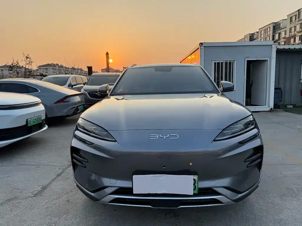 BYD PLUS New Energy 2024 из CN, фото 2