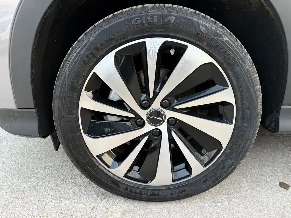 BYD PLUS New Energy 2024 из CN, фото 5